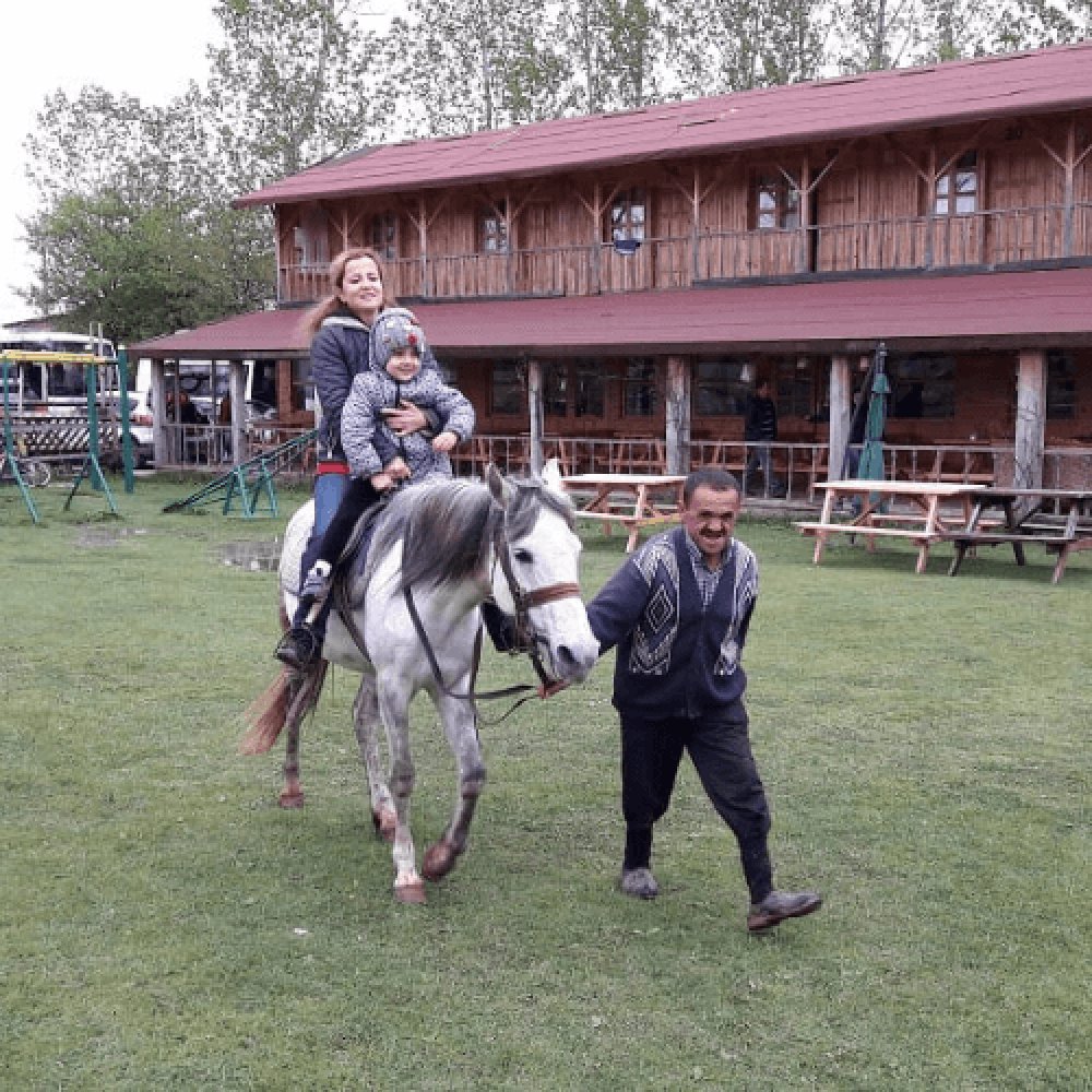At Çiftliği Kastamonu
