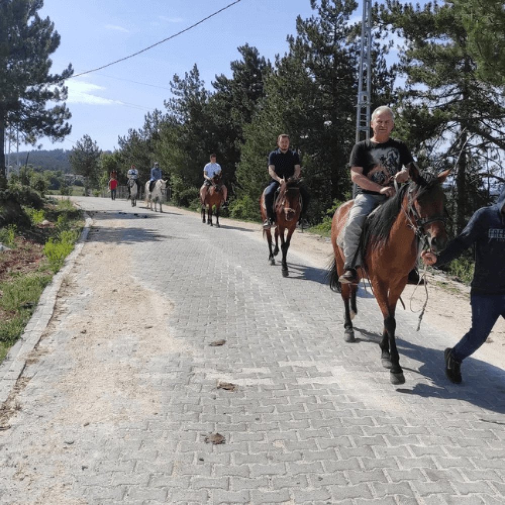At Çiftliği Kastamonu