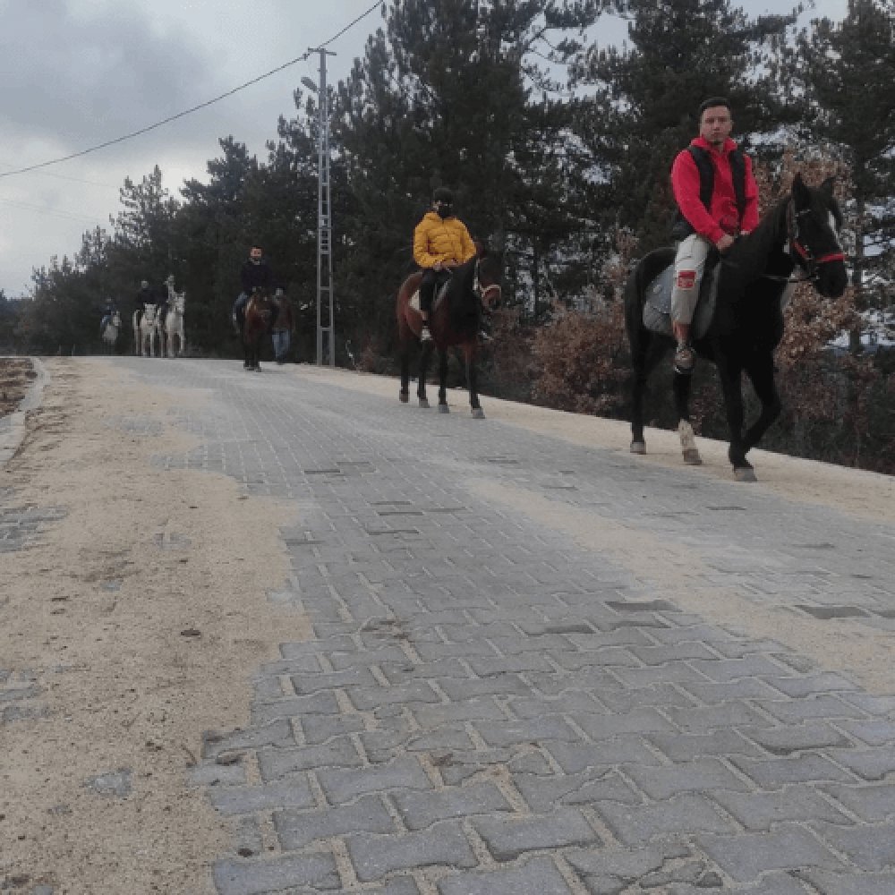 At Çiftliği Kastamonu