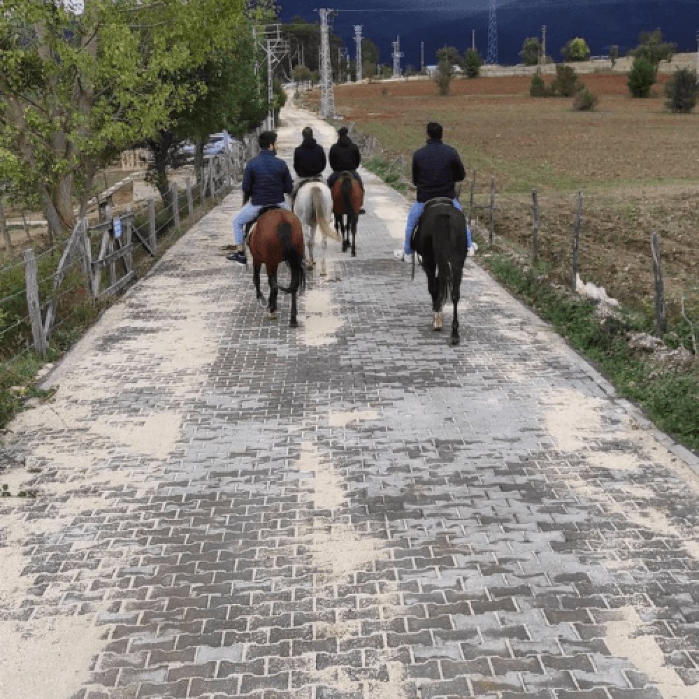 At Çiftliği Kastamonu