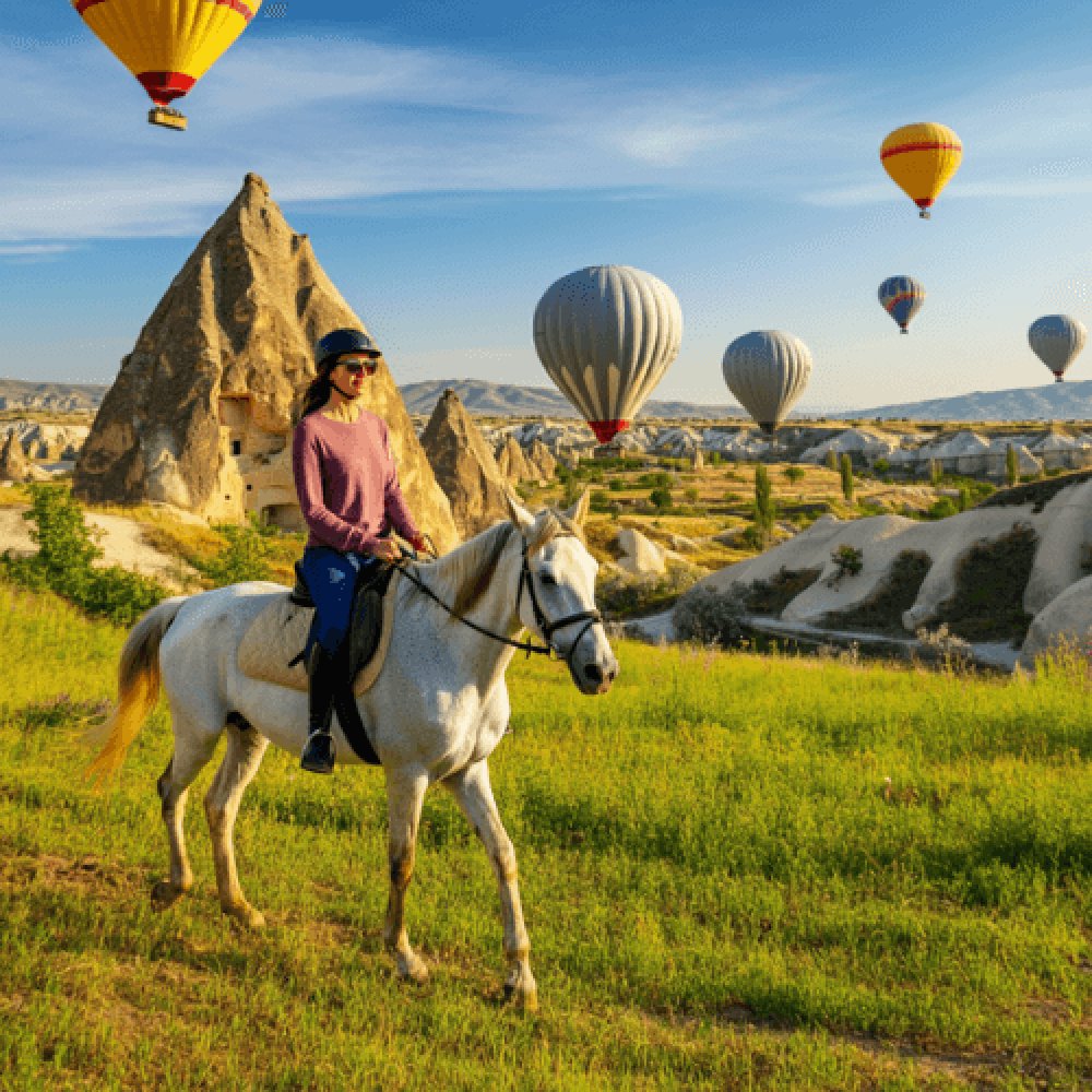 Avanos At Turu Fiyatları 2025