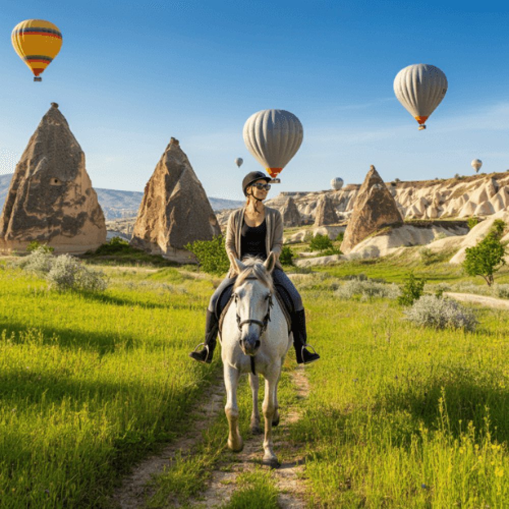 Avanos At Turu Fiyatları 2025