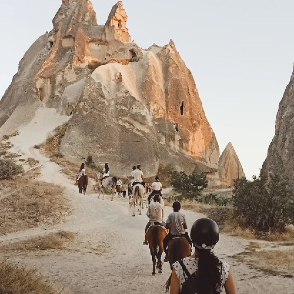 Cappadocia Horse Farm
