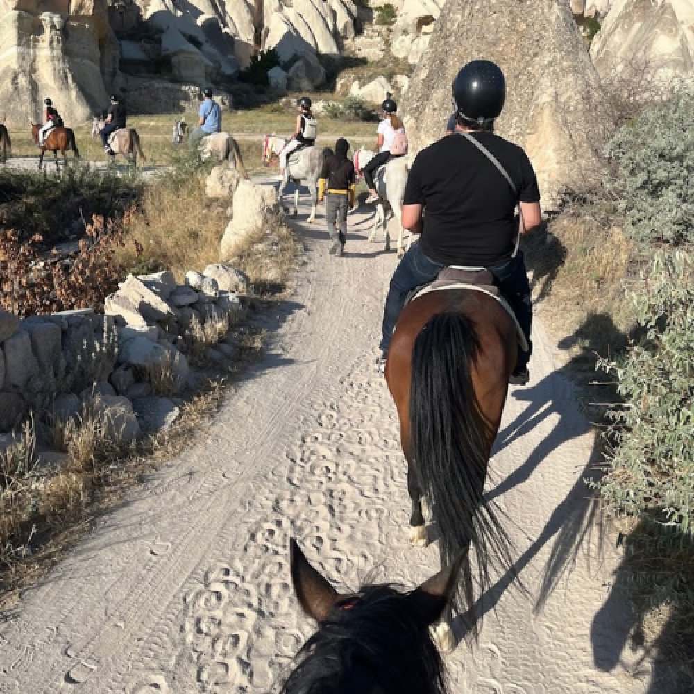 Cappadocia Horse Farm