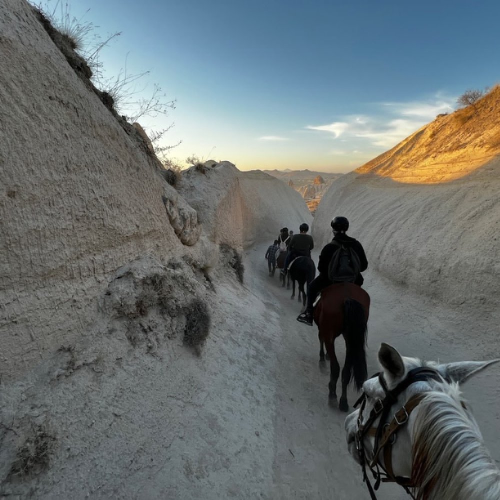Cappadocia Horse Farm