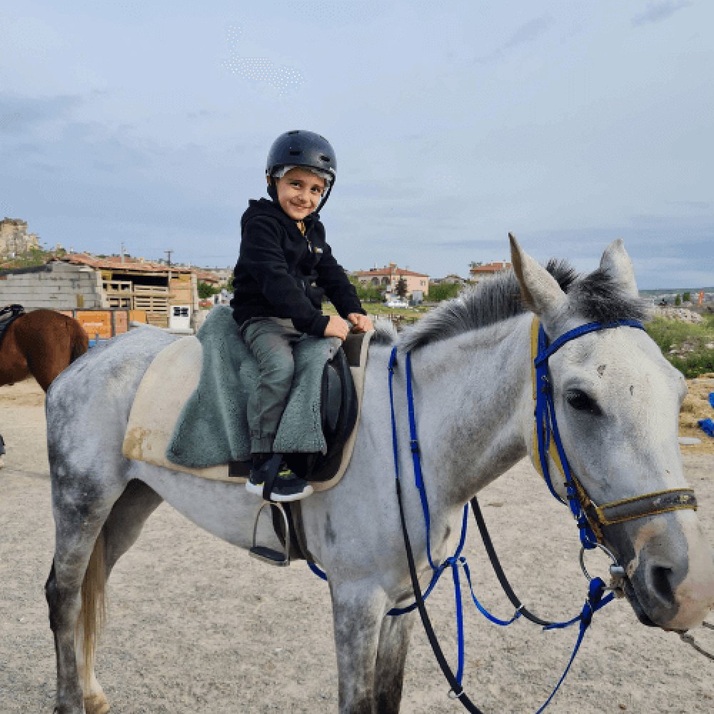Cappadocia Horse Farm