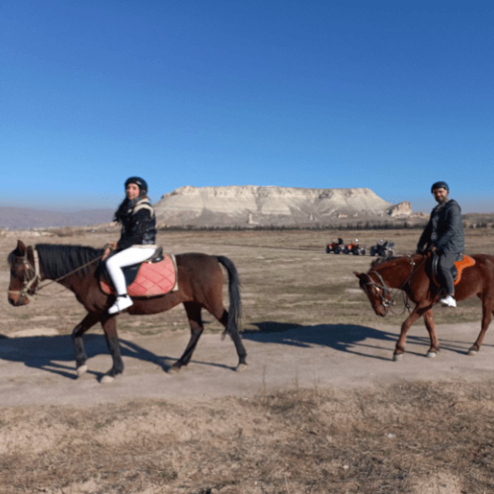 Cappadocia Horse Farm