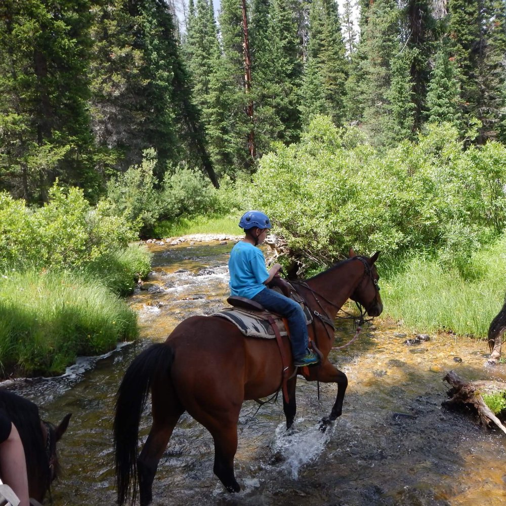 İğneada At Safari 1 Saat