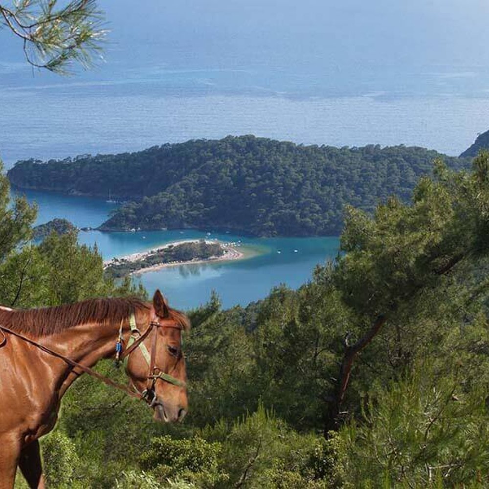 İğneada At Safari 1 Saat