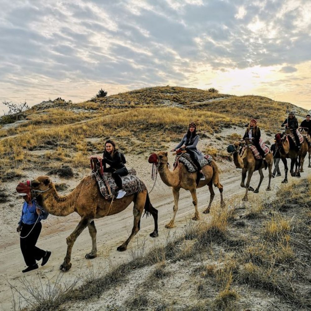 Kapadokya Deve Safari Turu 1 Saat