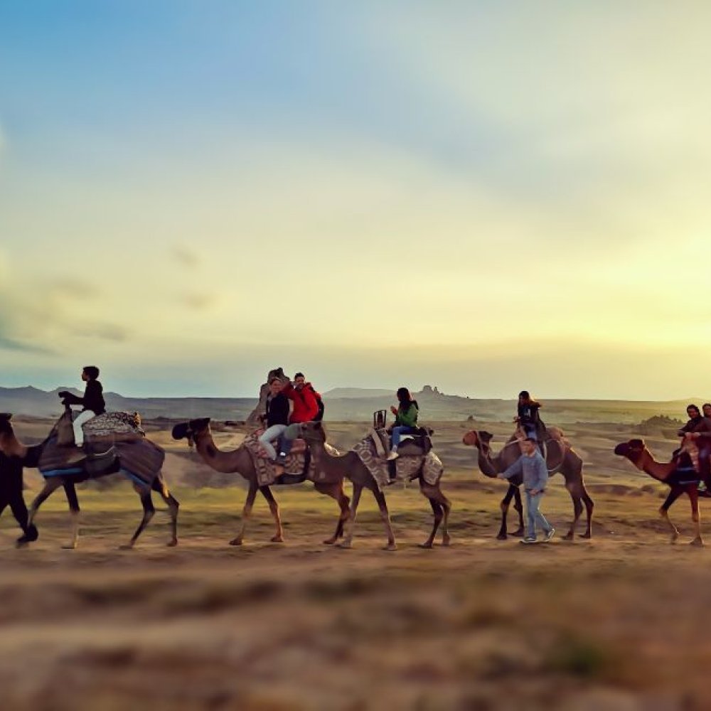 Kapadokya Deve Safari Turu 1 Saat