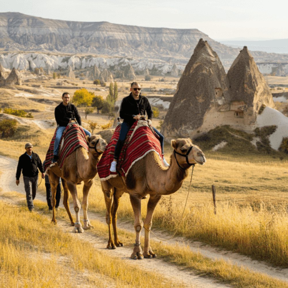 Kapadokya Deve Turu Fiyatları 2025