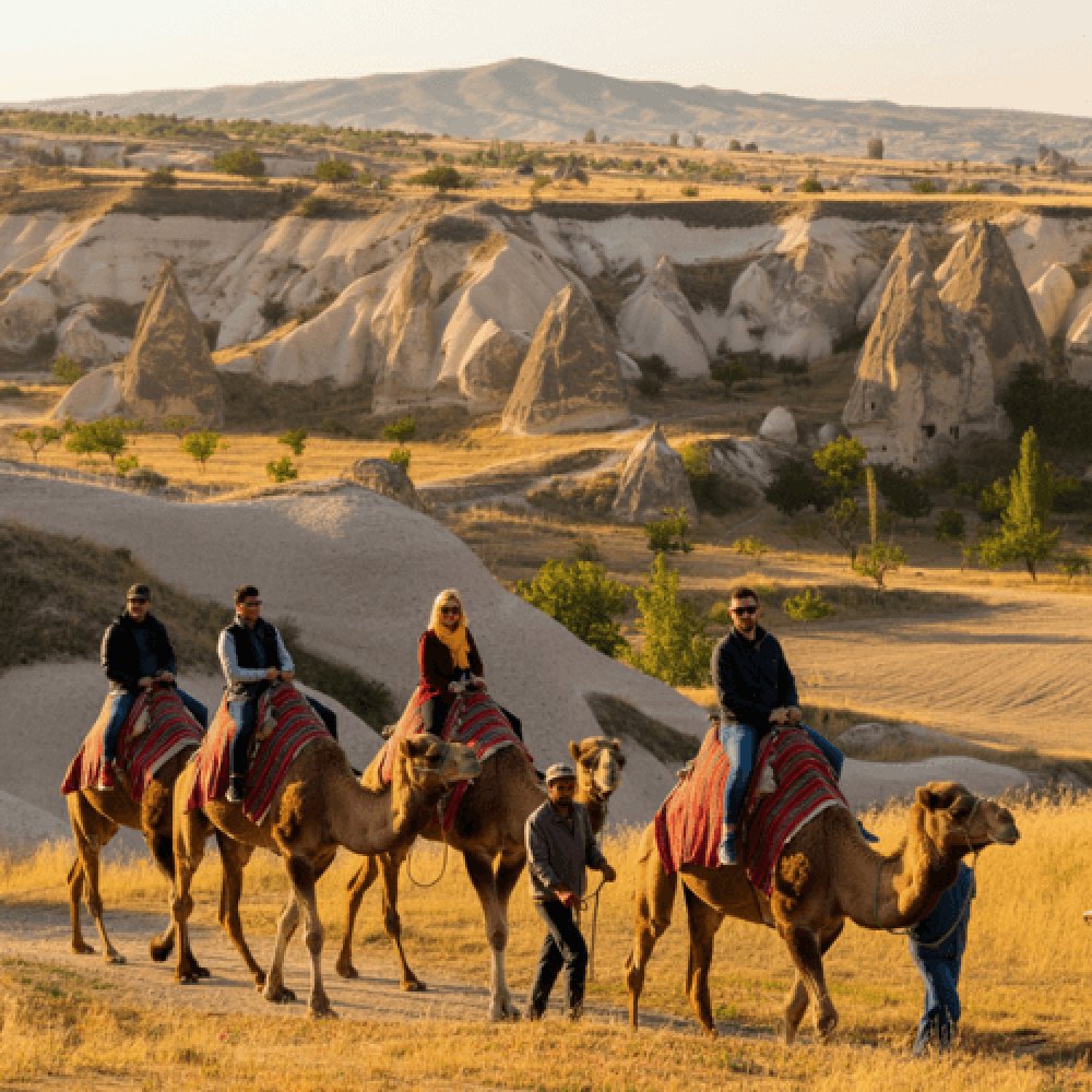 Kapadokya Deve Turu Fiyatları 2025