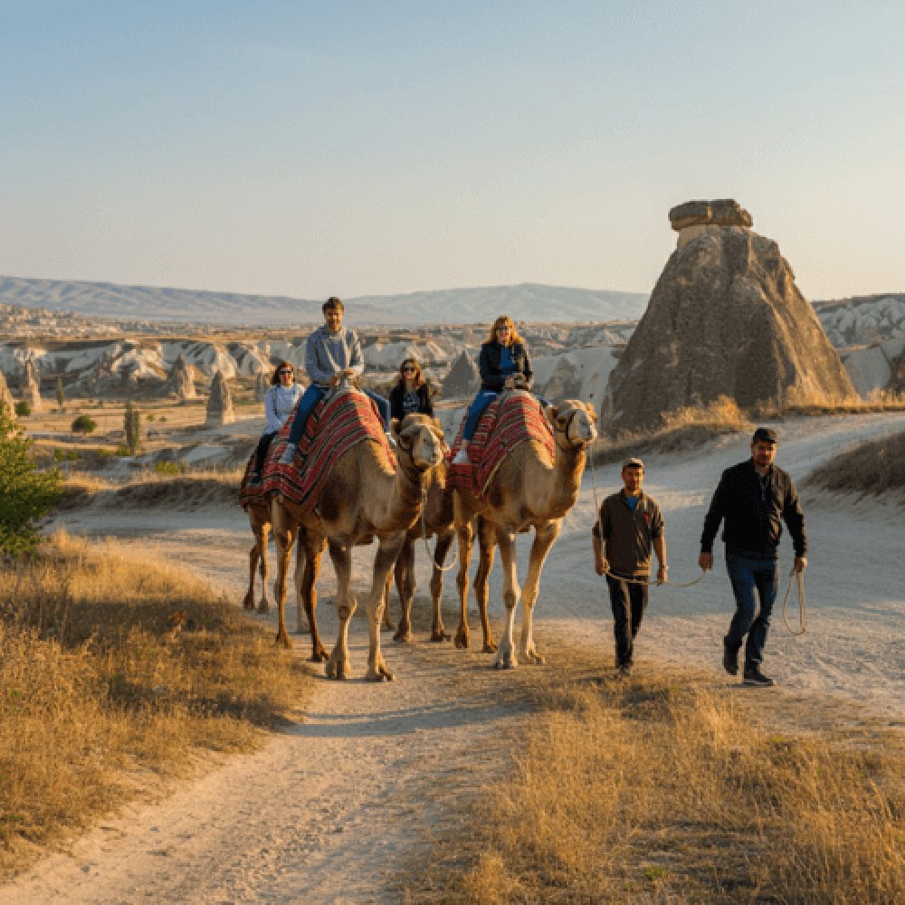 Kapadokya Deve Turu Fiyatları 2025