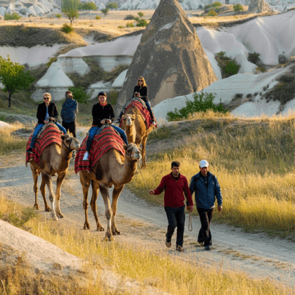 Kapadokya Deve Turu Fiyatları 2025