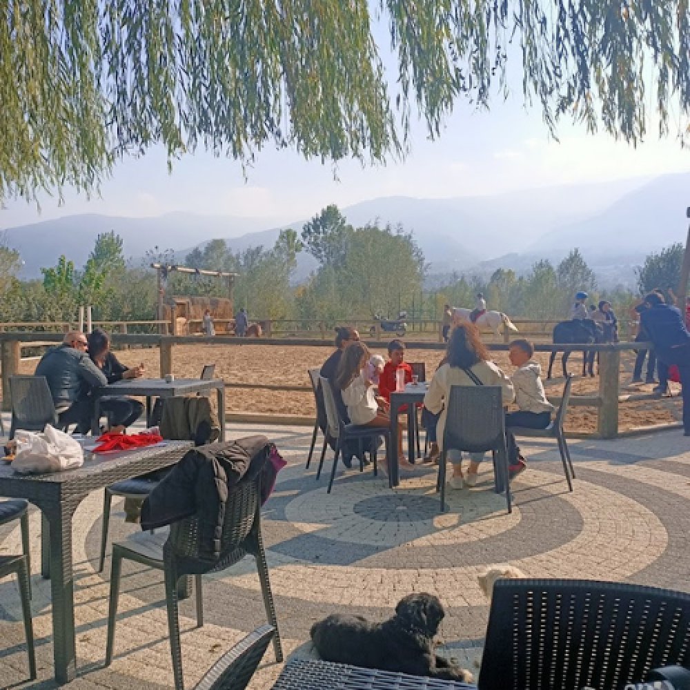 Kartepe At Çiftliği 45 Dakika At Turu