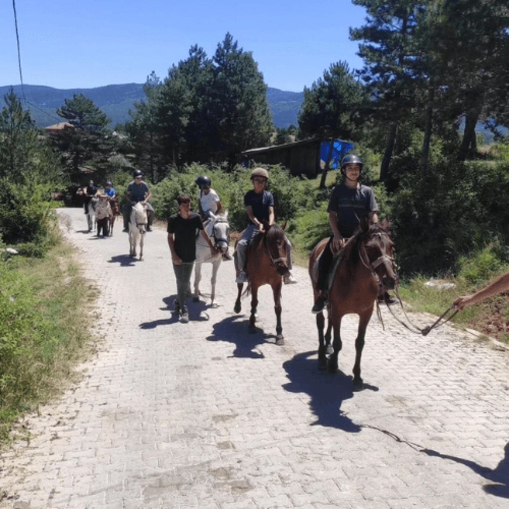 Kastamonu At Çiftliği 1 Saat Safari