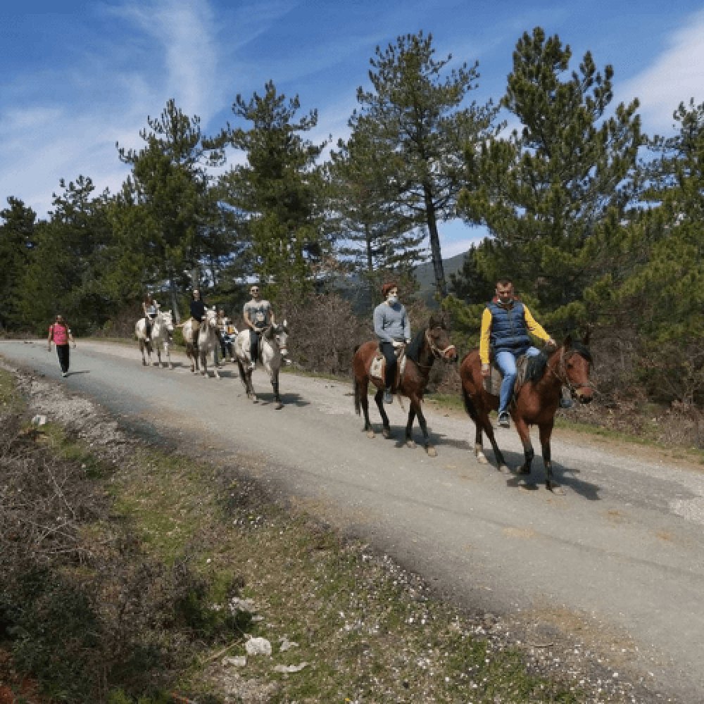 Kastamonu At Çiftliği 1 Saat Safari