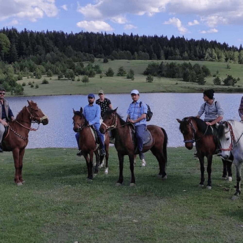 Kastamonu At Çiftliği 1 Saat Safari