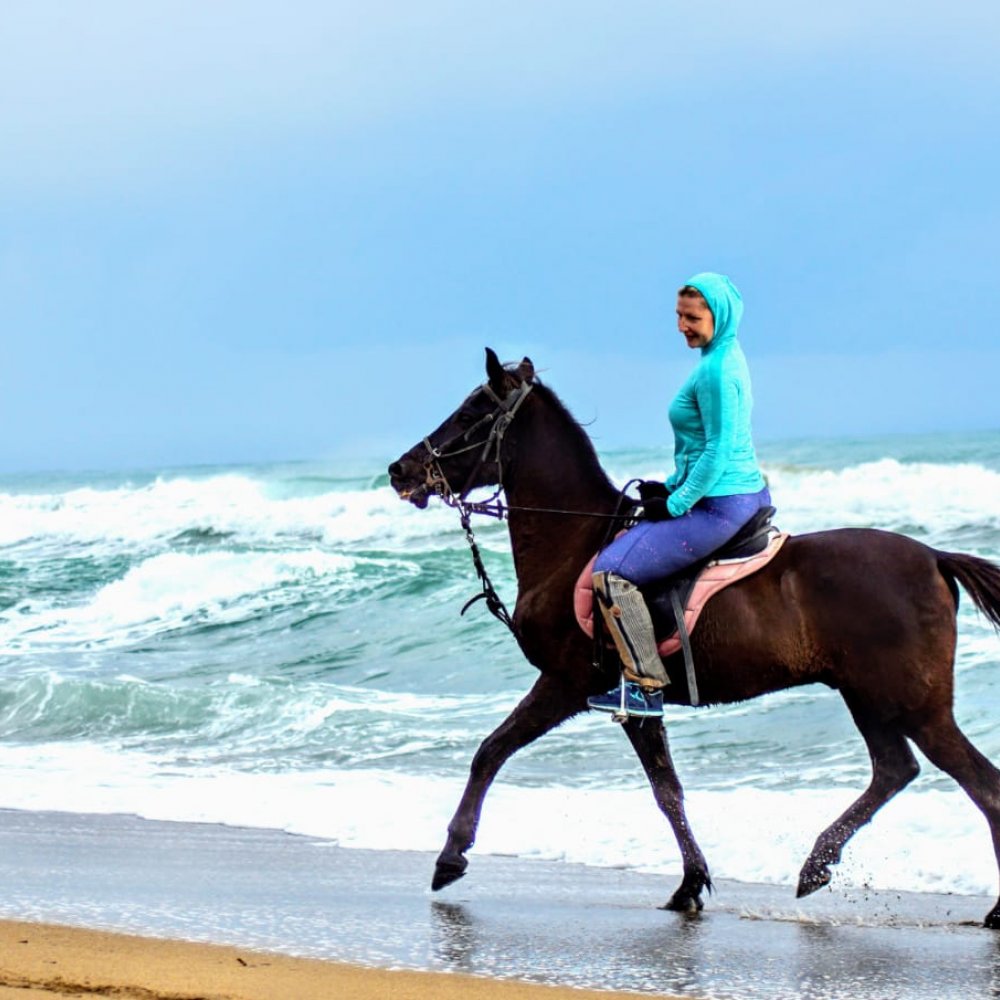 Manavgat At Turu 3 Saat At Safari