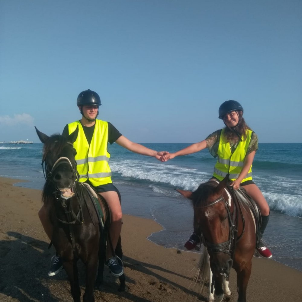 Manavgat At Turu 3 Saat At Safari