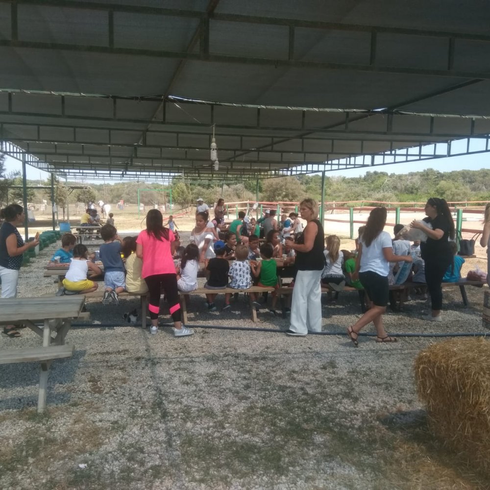 Manavgat At Turu 3 Saat At Safari