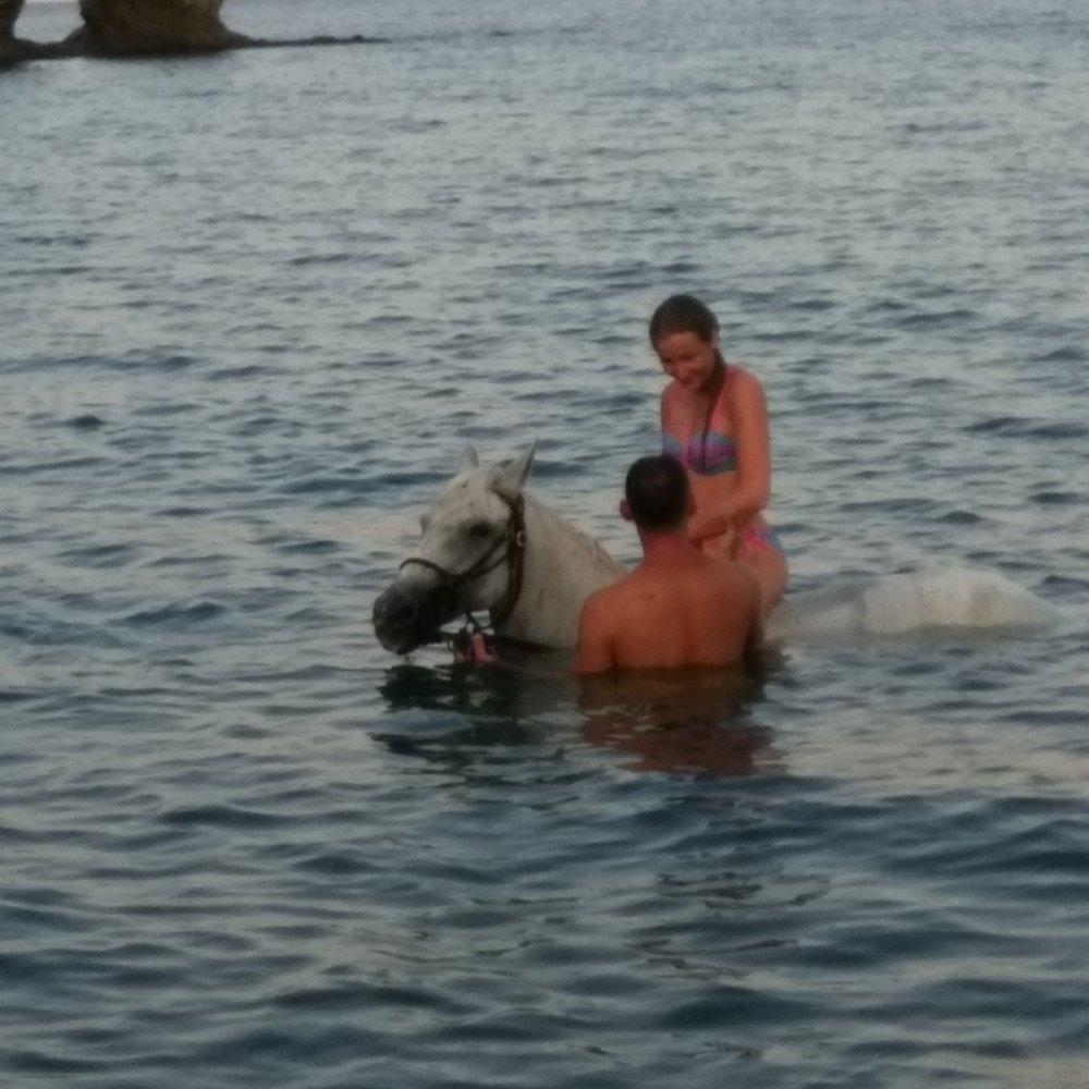 Manavgat At Turu 3 Saat At Safari