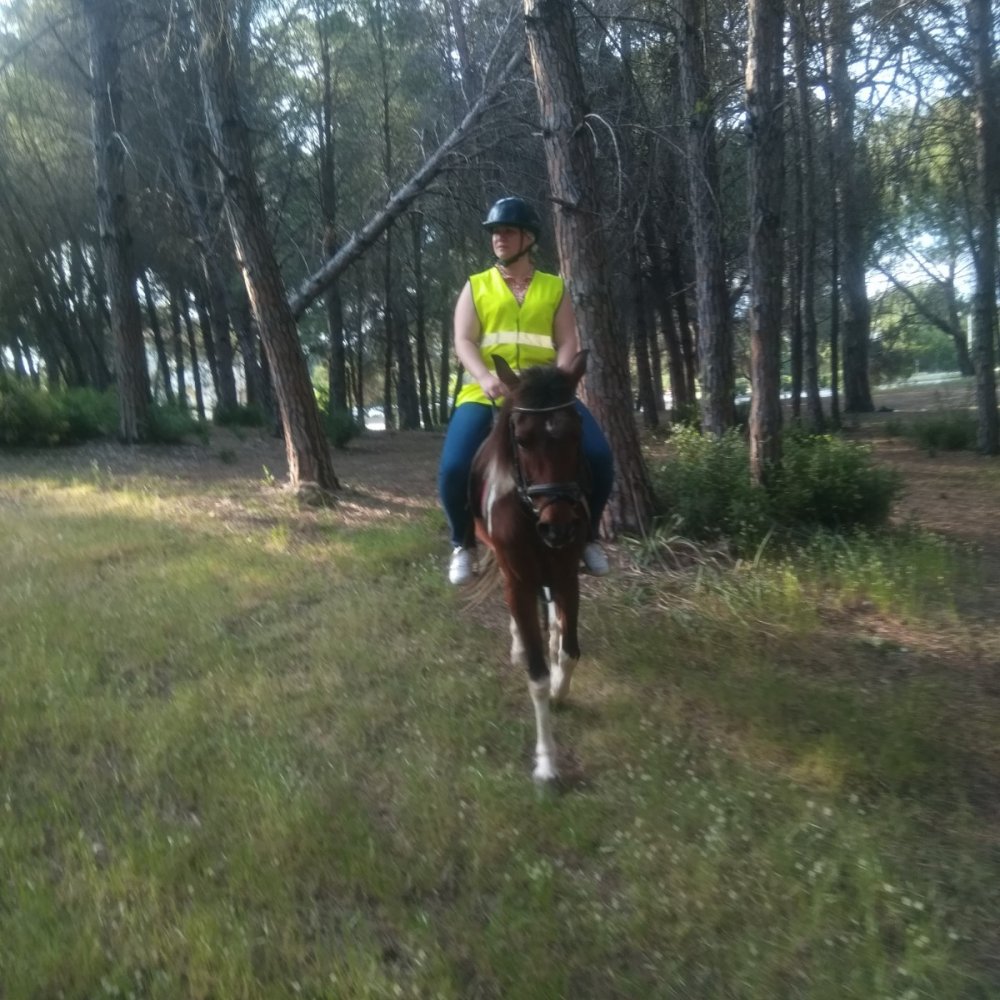 Manavgat At Turu 3 Saat At Safari