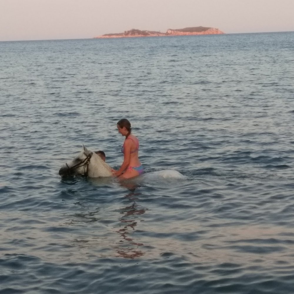 Manavgat At Turu 3 Saat At Safari