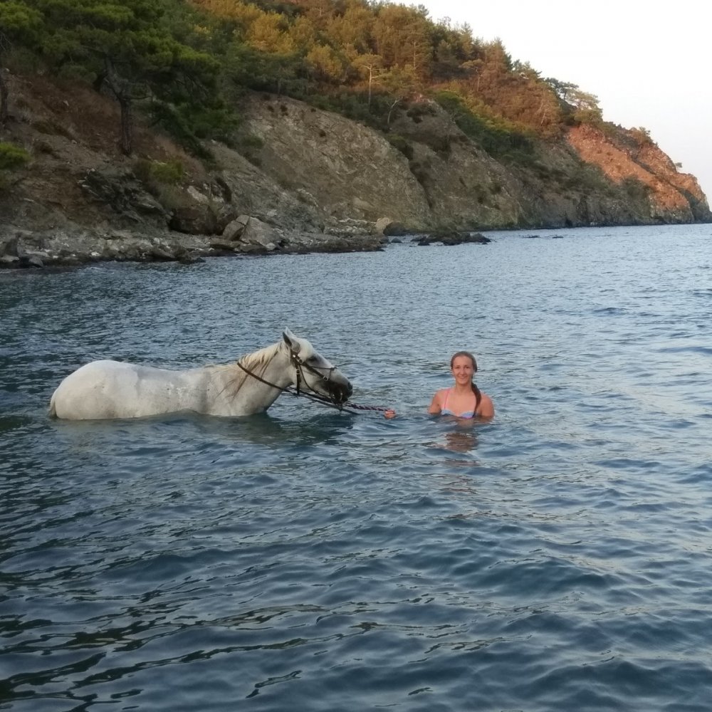 Manavgat At Turu 3 Saat At Safari