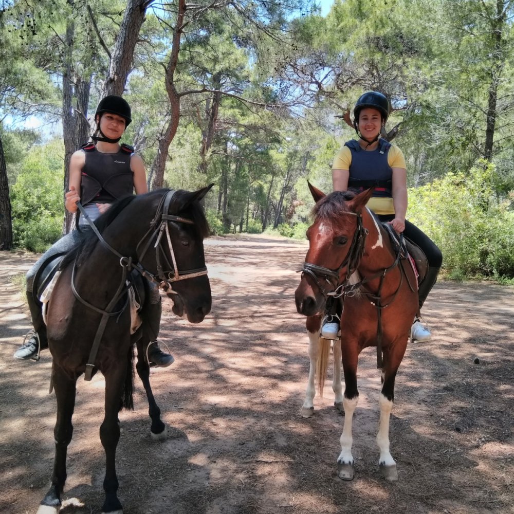 Manavgat At Turu 3 Saat At Safari