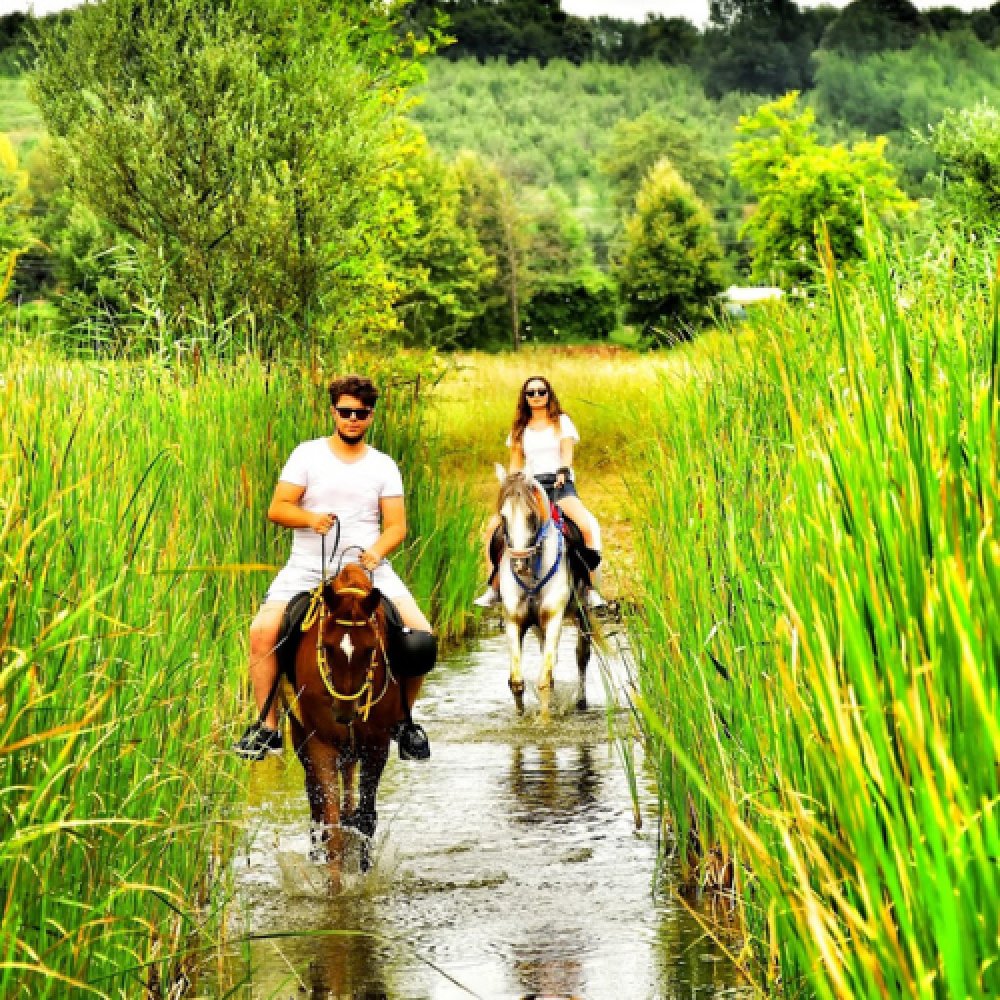 Maşukiye At Turu 45 Dakika