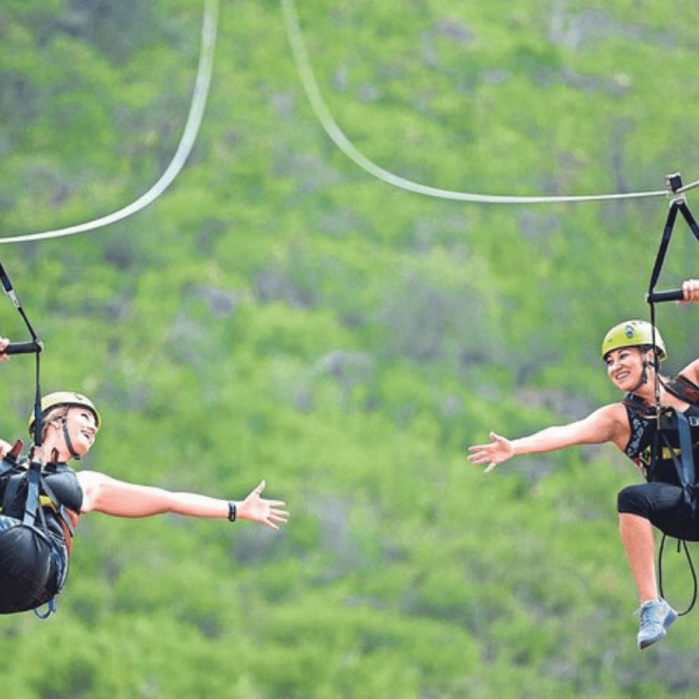 Maşukiye Zipline