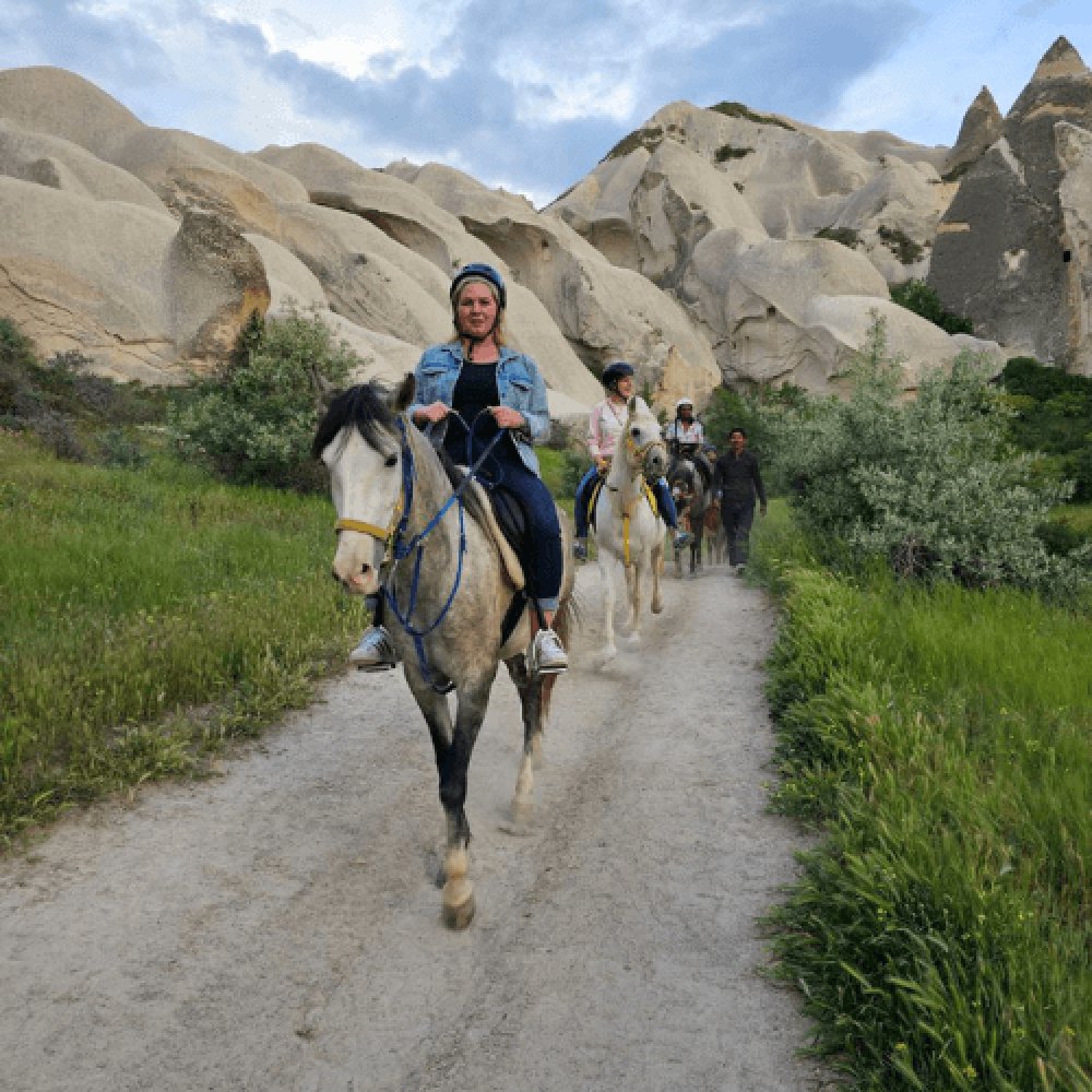 Nevşehir At Çiftliği