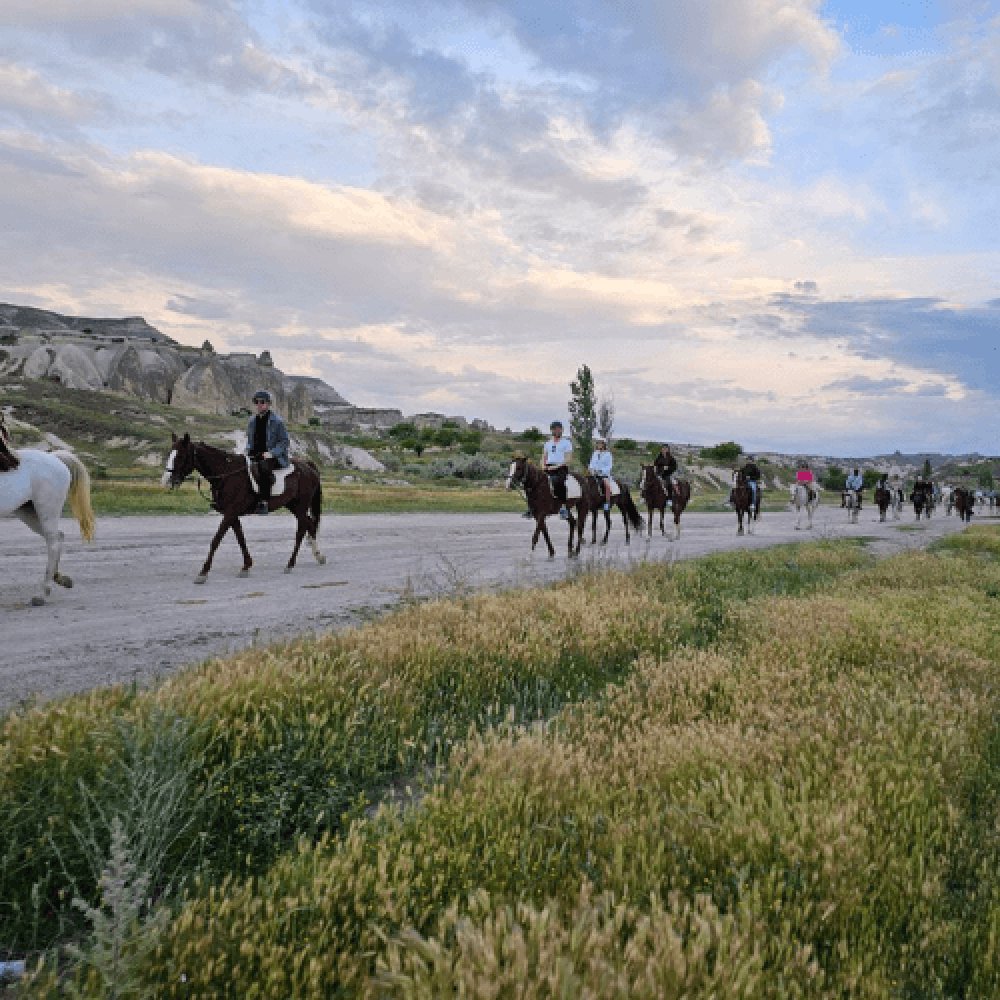Nevşehir At Çiftliği