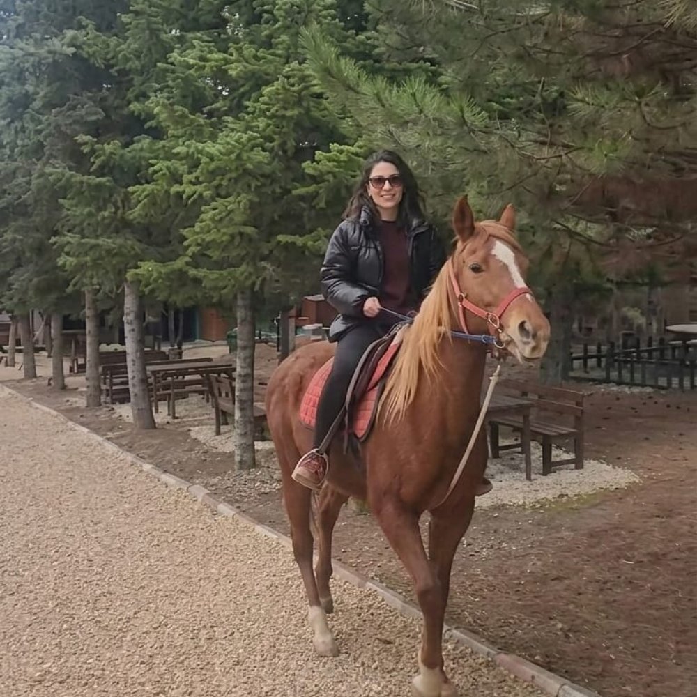 Sivas At Turu 45 Dakika