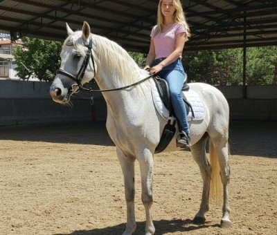 Ağva At Safari Turu 20 Dk.