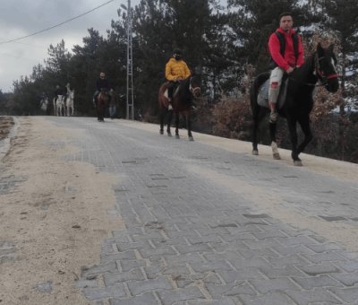 At Çiftliği Kastamonu