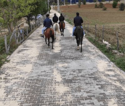 At Çiftliği Kastamonu