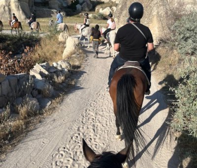 Cappadocia Horse Farm