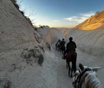 Cappadocia Horse Farm