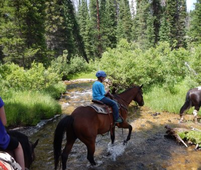 İğneada At Safari 1 Saat