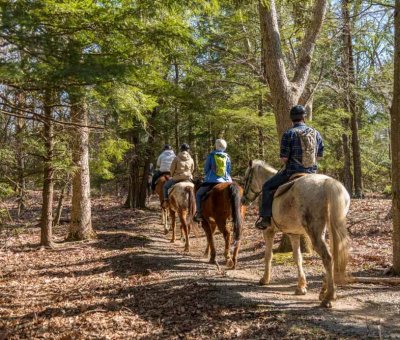 İğneada At Turu 1 Saat