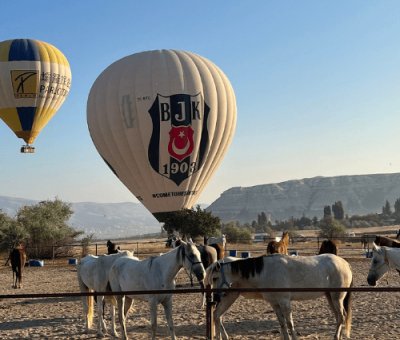 Kapadokya At Turu 1 Saat