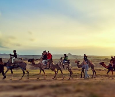 Kapadokya Deve Safari Turu 1 Saat