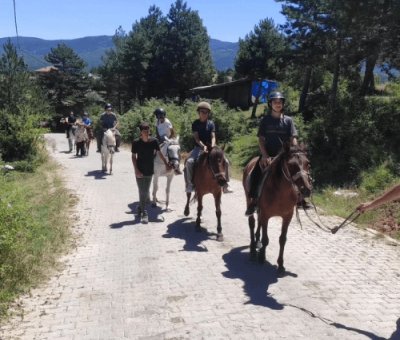Kastamonu At Çiftliği 1 Saat Safari