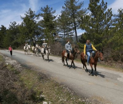 Kastamonu At Çiftliği 1 Saat Safari