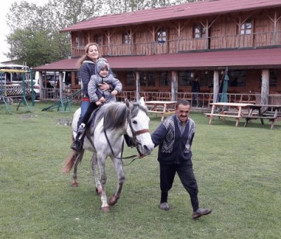 Kastamonu At Çiftliği 1 Saat Safari