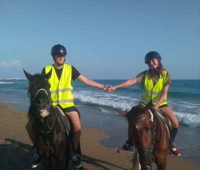 Manavgat At Turu 3 Saat At Safari