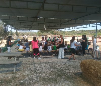 Manavgat At Turu 3 Saat At Safari